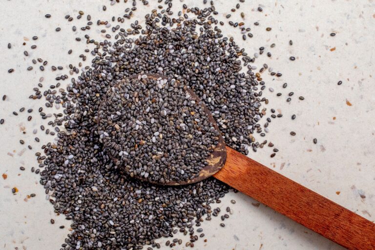 A wooden spoon filled with dry chia seeds for diabetes blood sugar management